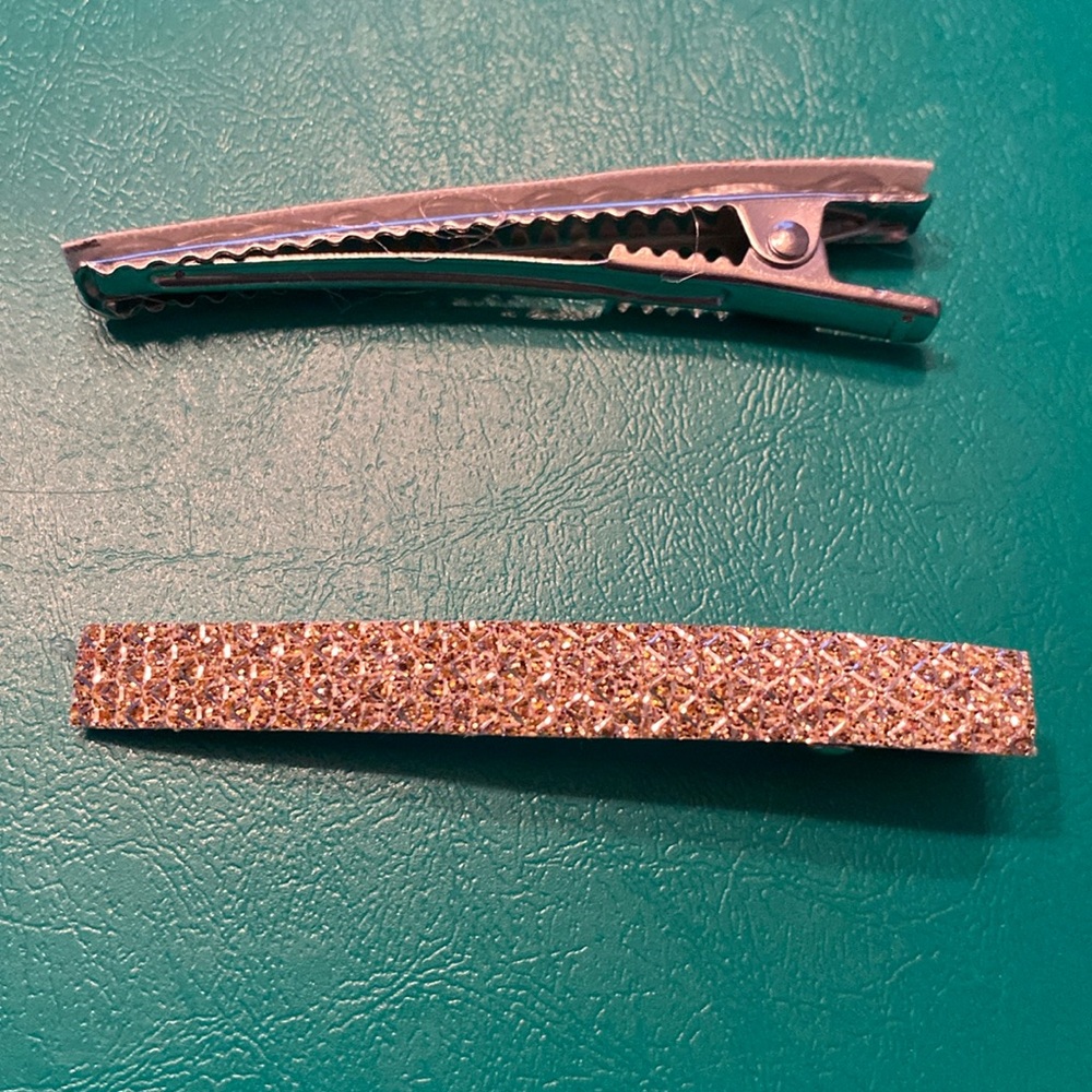 Set of 2 hair barrettes, clips, pins